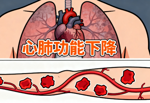 [图片占位：心肺功能下降]