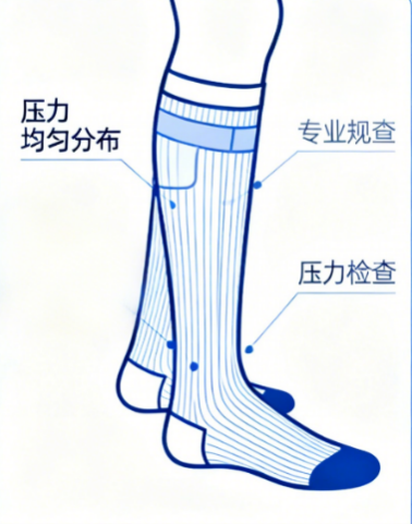 [图片占位：巩固期运动]