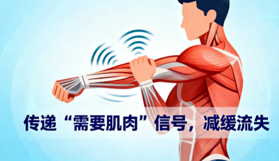 [图片占位：呼吸练习]