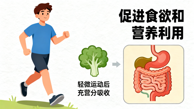 [图片占位：鼓励者]