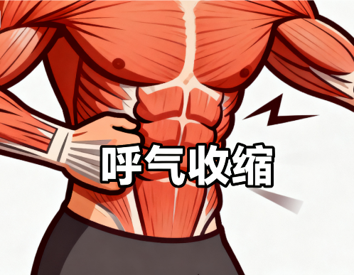 [图片占位：呼气时肌肉收缩]