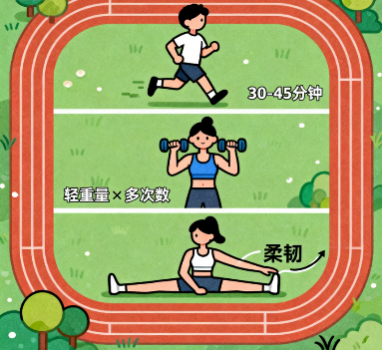 [图片占位：巩固期运动]